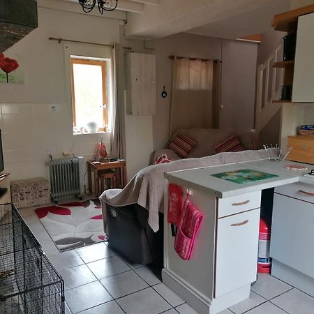 Le Petit Verger, 1 Impasse De La Fenouillere 61330 Ceauce Екстер'єр фото